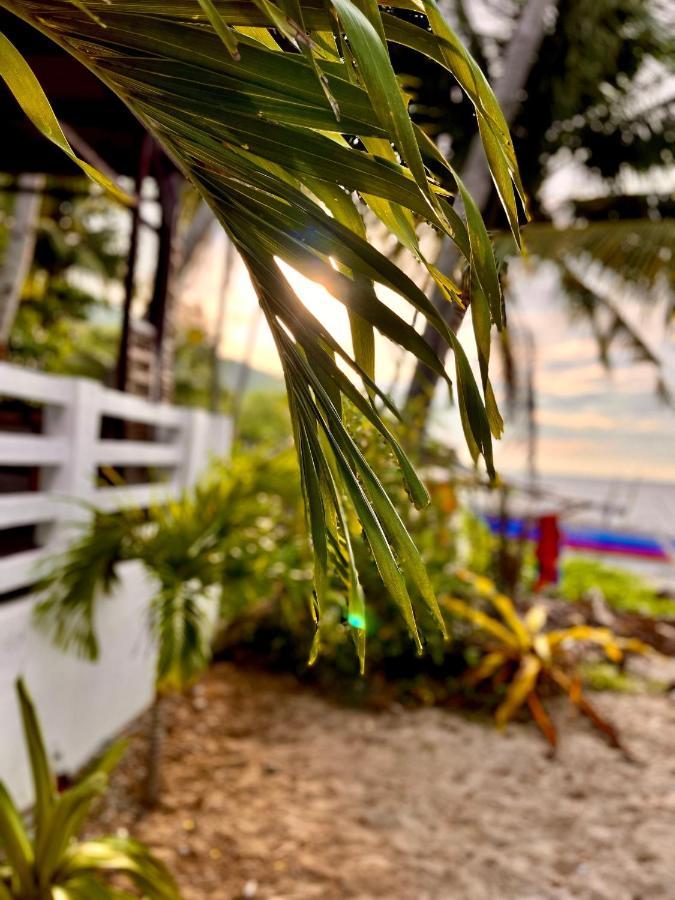 Amami Beachfront Villa With Private Beach Пуерто-Галера Екстер'єр фото