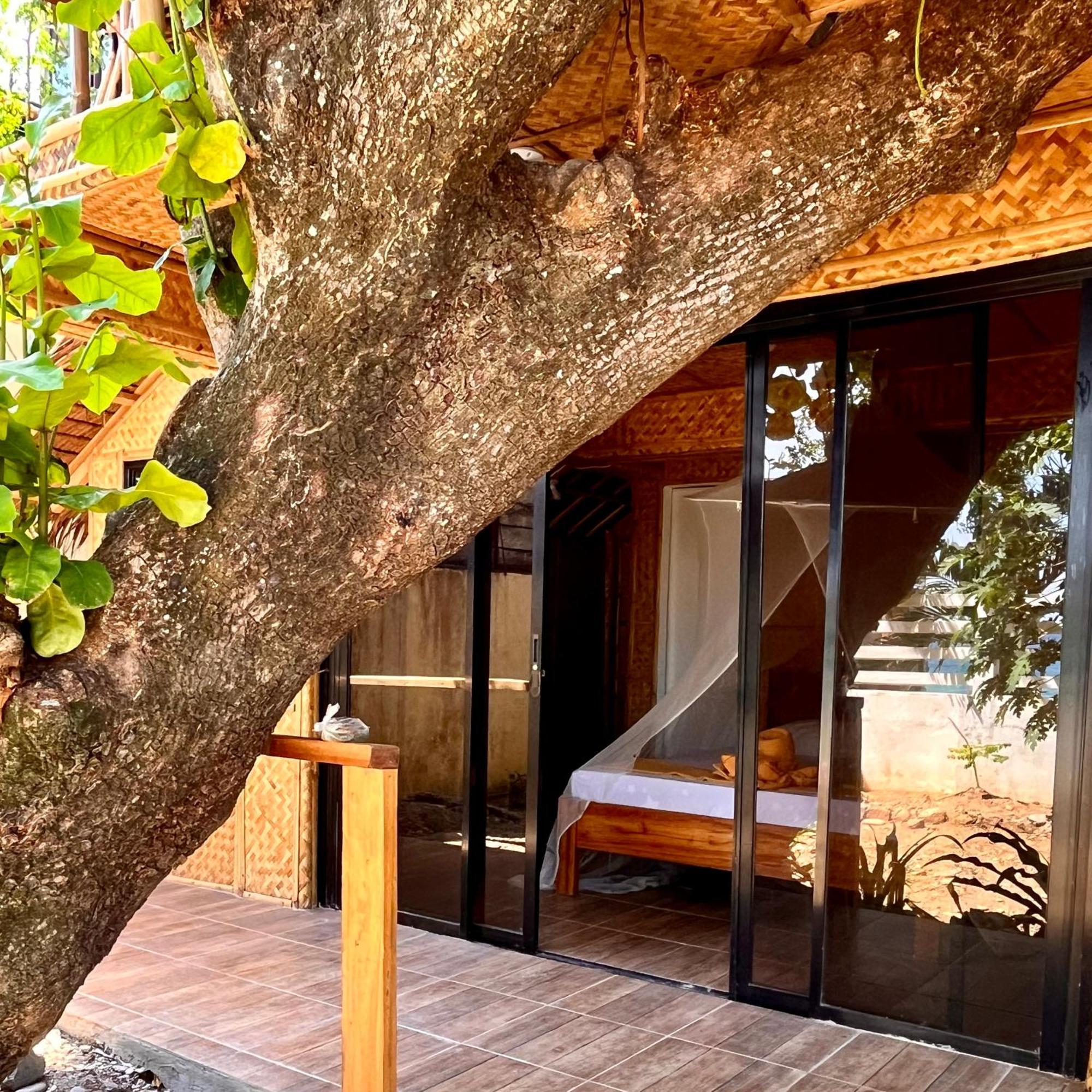 Amami Beachfront Villa With Private Beach Пуерто-Галера Екстер'єр фото